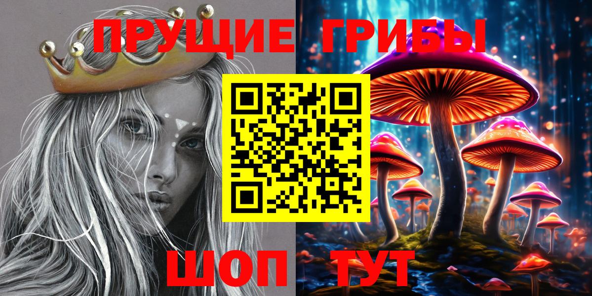 Галлюциногенные грибы GOLDEN TEACHER Солнечногорск